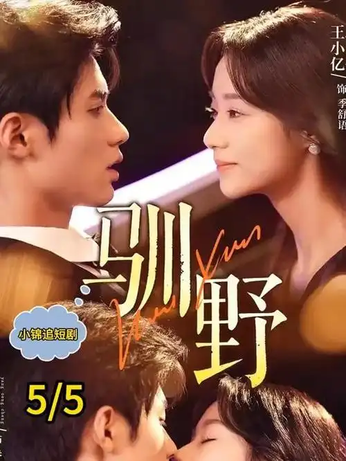 回声档案悬疑电视剧在线观看